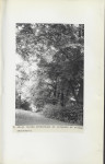 EP - Ewidencja parkowa, skan nr 37