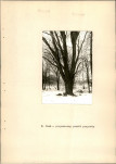 EP - Ewidencja parkowa, skan nr 23