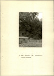 Ewidencja parkowa, skan nr 25