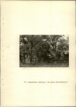 Ewidencja parkowa, skan nr 26