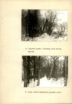 EP - Ewidencja parkowa, skan nr 20