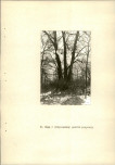 EP - Ewidencja parkowa, skan nr 21