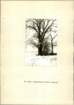 EP - Ewidencja parkowa, skan nr 23