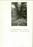 Ewidencja parkowa, skan nr 26