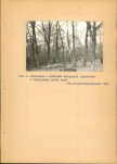 EP - Ewidencja parkowa, skan nr 18