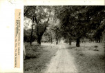 Ewidencja parkowa, skan nr 22