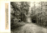 Ewidencja parkowa, skan nr 28