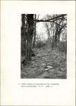 Ewidencja parkowa, skan nr 22