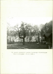 Ewidencja parkowa, skan nr 24