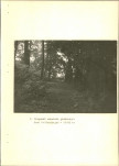 EP - Ewidencja parkowa, skan nr 25