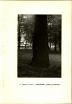 Ewidencja parkowa, skan nr 31