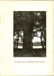 Ewidencja parkowa, skan nr 32