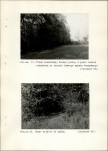 Ewidencja parkowa, skan nr 30