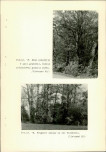 Ewidencja parkowa, skan nr 32