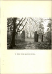 Ewidencja parkowa, skan nr 21