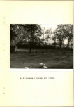 Ewidencja parkowa, skan nr 24