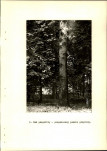 Ewidencja parkowa, skan nr 33
