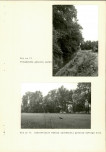 Ewidencja parkowa, skan nr 32