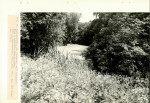 EP - Ewidencja parkowa, skan nr 32