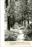 EP - Ewidencja parkowa, skan nr 42