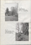 Ewidencja parkowa, skan nr 35