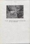 Ewidencja parkowa, skan nr 40