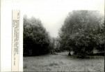 EP - Ewidencja parkowa, skan nr 33
