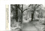 EP - Ewidencja parkowa, skan nr 38