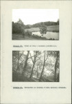 EP - Ewidencja parkowa, skan nr 30