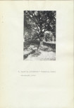 Ewidencja parkowa, skan nr 25