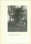 Ewidencja parkowa, skan nr 25