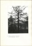 Ewidencja parkowa, skan nr 26