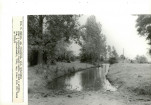 Ewidencja parkowa, skan nr 36