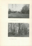 Ewidencja parkowa, skan nr 26