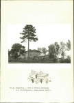 Ewidencja parkowa, skan nr 34