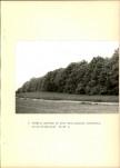 EP - Ewidencja parkowa, skan nr 16