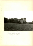 EP - Ewidencja parkowa, skan nr 20