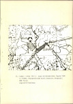 EP - Ewidencja parkowa, skan nr 26