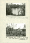 Ewidencja parkowa, skan nr 22