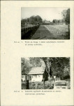 Ewidencja parkowa, skan nr 36
