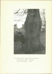 Ewidencja parkowa, skan nr 32