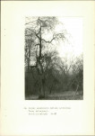 Ewidencja parkowa, skan nr 36