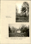 Ewidencja parkowa, skan nr 31