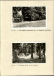 Ewidencja parkowa, skan nr 25