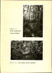 Ewidencja parkowa, skan nr 28