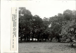 EP - Ewidencja parkowa, skan nr 29