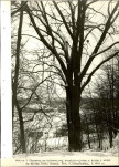 EP - Ewidencja parkowa, skan nr 34