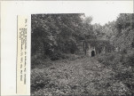 EP - Ewidencja parkowa, skan nr 43