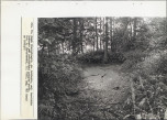 EP - Ewidencja parkowa, skan nr 61