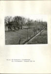 Ewidencja parkowa, skan nr 54